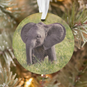 Cutest Baby Animals   Baby Elephant Kenya Africa Ornament