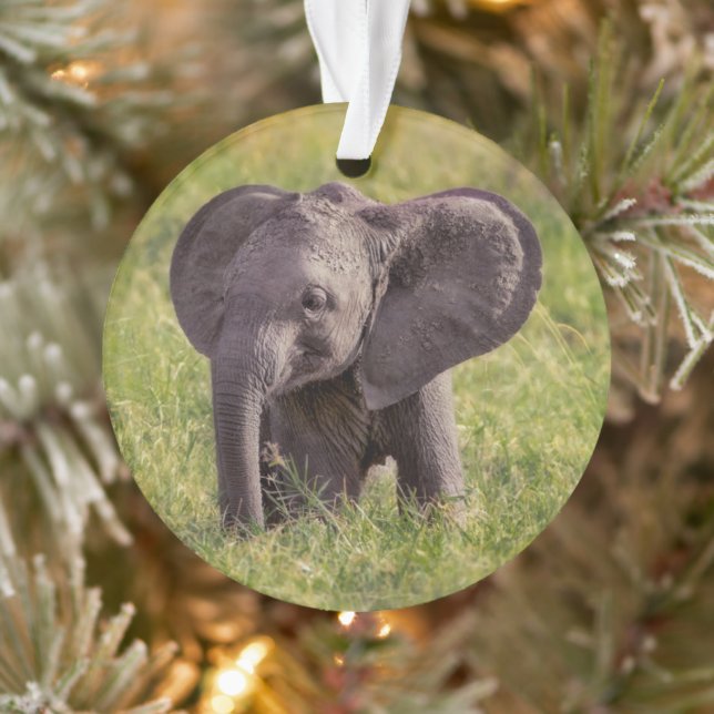 Cutest Baby Animals | Baby Elephant Kenya Africa Ornament (Tree)