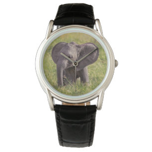 Cutest Baby Animals   Baby Elephant Kenya Africa Watch