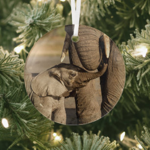 Cutest Baby Animals   Baby Elephant & Mama Glass Tree Decoration