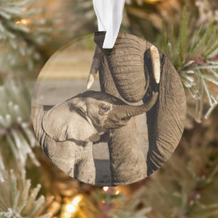 Cutest Baby Animals Baby Elephant & Mama Ornament