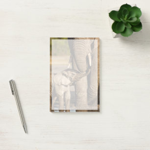 Cutest Baby Animals Baby Elephant & Mama Post-it Notes