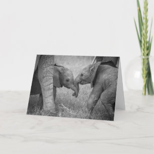 Cutest Baby Animals Baby Elephants Greeting Card