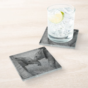 Cutest Baby Animals Baby Elephants Greeting Glass Coaster