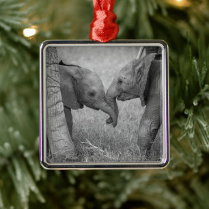Cutest Baby Animals Baby Elephants Greeting Metal Ornament
