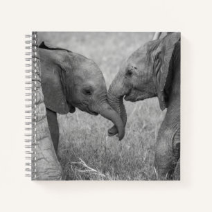 Cutest Baby Animals Baby Elephants Greeting Notebook