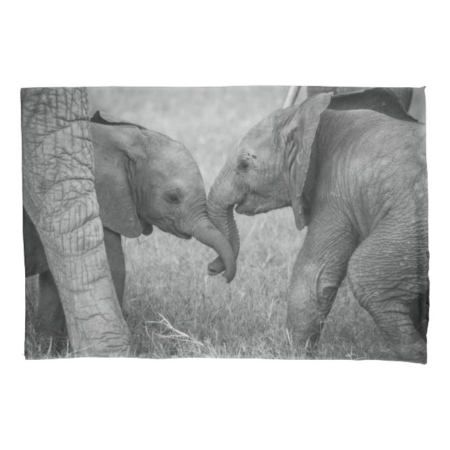 Cutest Baby Animals | Baby Elephants Greeting Pillowcase (Front)