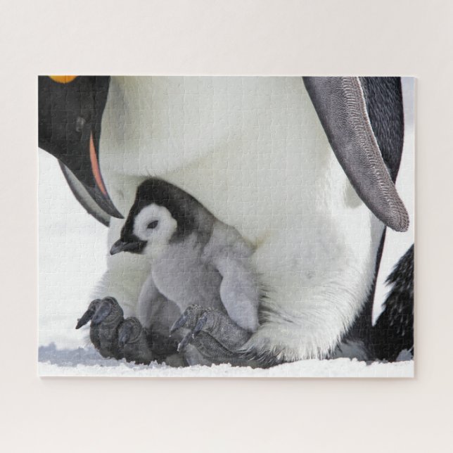 Cutest Baby Animals | Baby Emperor Penguin Jigsaw Puzzle (Horizontal)