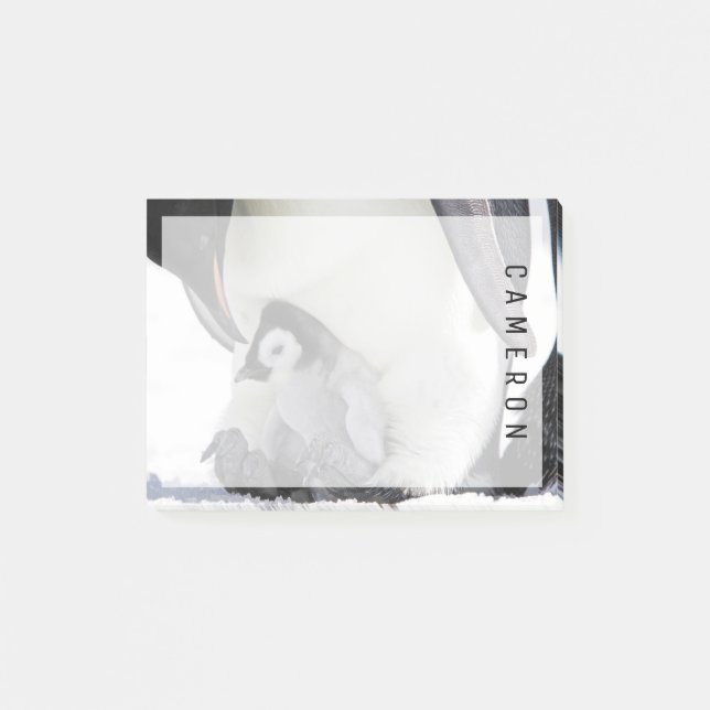 Cutest Baby Animals | Baby Emperor Penguin Post-it Notes (Front)