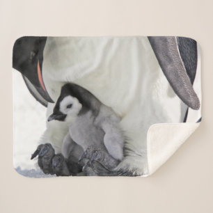 Cutest Baby Animals Baby Emperor Penguin Sherpa Blanket