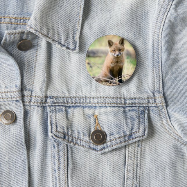 Cutest Baby Animals | Baby Fox 6 Cm Round Badge (In Situ)