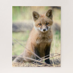 Cutest Baby Animals Baby Fox Jigsaw Puzzle