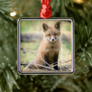 Cutest Baby Animals Baby Fox Metal Ornament