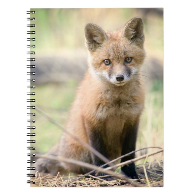 Cutest Baby Animals | Baby Fox Notebook (Front)