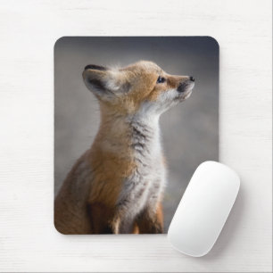 Cutest Baby Animals Baby Fox Portrait Mouse Pad
