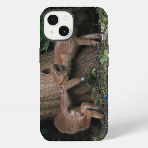 Cutest Baby Animals Baby Foxes Playing iPhone 13 Case