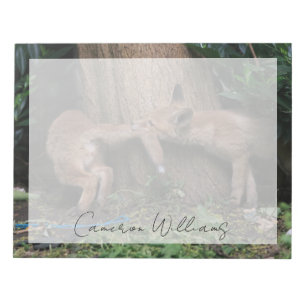 Cutest Baby Animals   Baby Foxes Playing Notepad