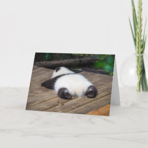 Cutest Baby Animals   Baby Giant Panda Sleeping Card