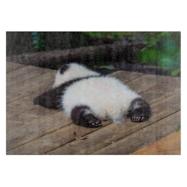 Cutest Baby Animals | Baby Giant Panda Sleeping Cutting Board (Front)