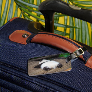 Cutest Baby Animals Baby Giant Panda Sleeping Luggage Tag