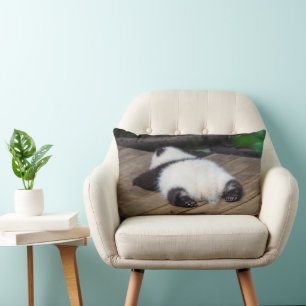Cutest Baby Animals   Baby Giant Panda Sleeping Lumbar Cushion