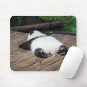 Cutest Baby Animals   Baby Giant Panda Sleeping Mouse Pad