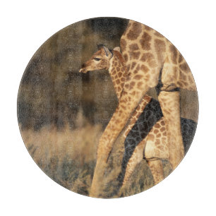 Cutest Baby Animals Baby Giraffe & Parent Cutting Board
