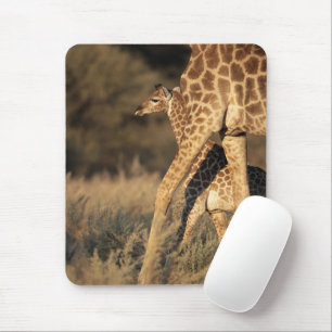 Cutest Baby Animals Baby Giraffe & Parent Mouse Pad