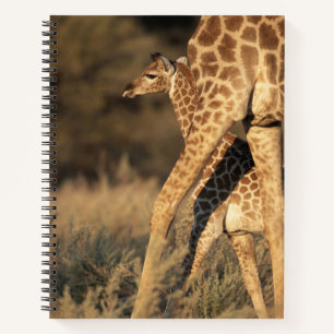 Cutest Baby Animals   Baby Giraffe & Parent Notebook