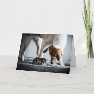 Cutest Baby Animals   Baby Kitten & Dog Card