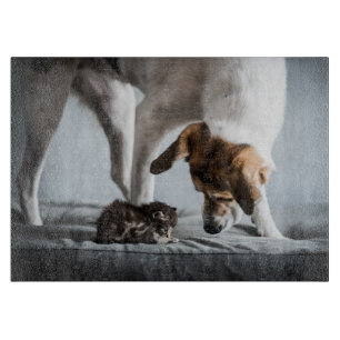 Cutest Baby Animals Baby Kitten & Dog Cutting Board