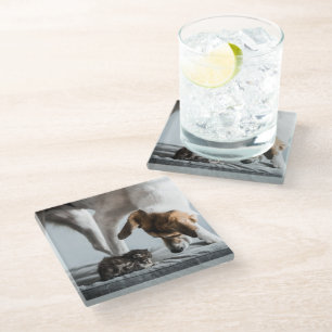 Cutest Baby Animals   Baby Kitten & Dog Glass Coaster