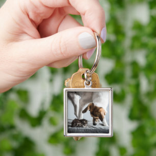 Cutest Baby Animals Baby Kitten & Dog Key Ring