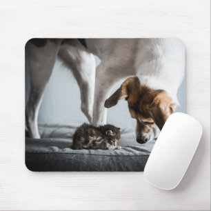 Cutest Baby Animals   Baby Kitten & Dog Mouse Pad