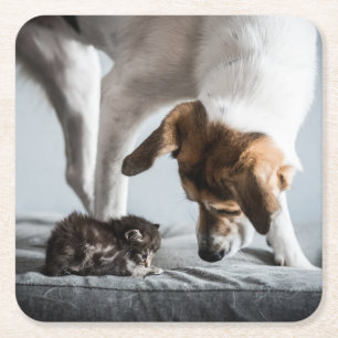 Cutest Baby Animals Baby Kitten & Dog Square Paper Coaster