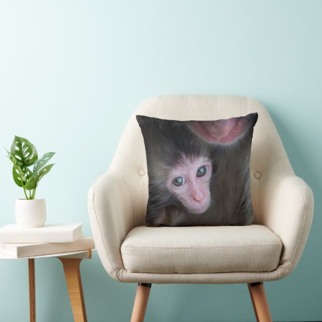 Cutest Baby Animals | Baby Macaque Monkey & Mother Cushion (Chair)