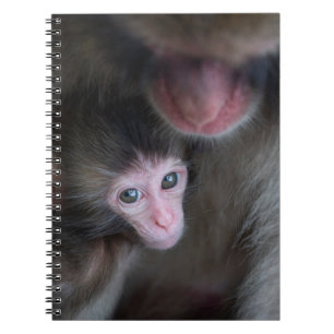 Cutest Baby Animals Baby Macaque Monkey & Mother Notebook