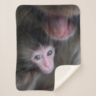 Cutest Baby Animals Baby Macaque Monkey & Mother Sherpa Blanket
