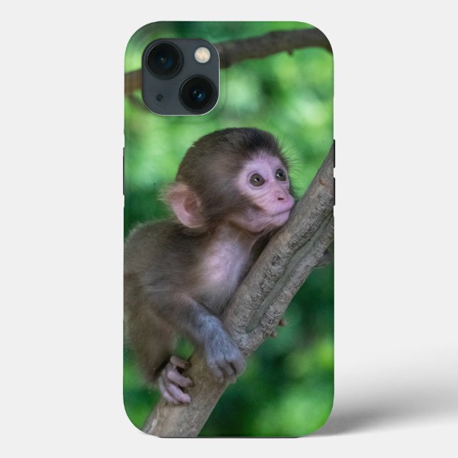 Cutest Baby Animals | Baby Monkey Case-Mate iPhone Case (Back)