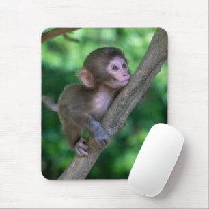 Cutest Baby Animals   Baby Monkey Mouse Pad