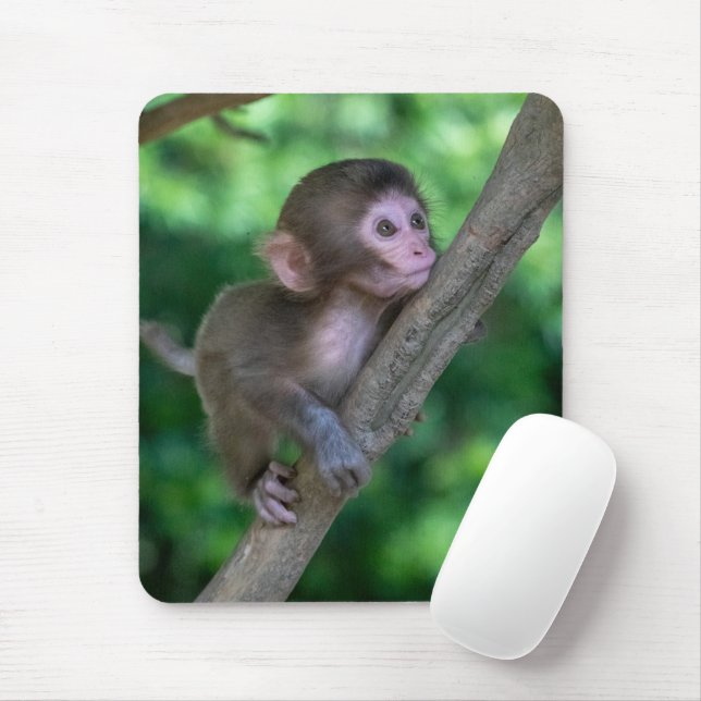Cutest Baby Animals | Baby Monkey Mouse Pad (With Mouse)