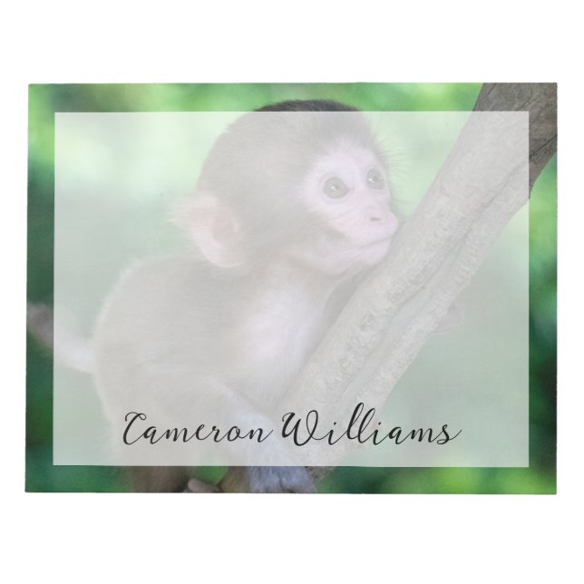 Cutest Baby Animals | Baby Monkey Notepad (Front)