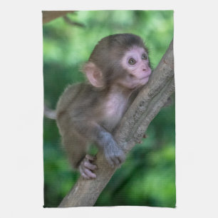 Cutest Baby Animals Baby Monkey Tea Towel
