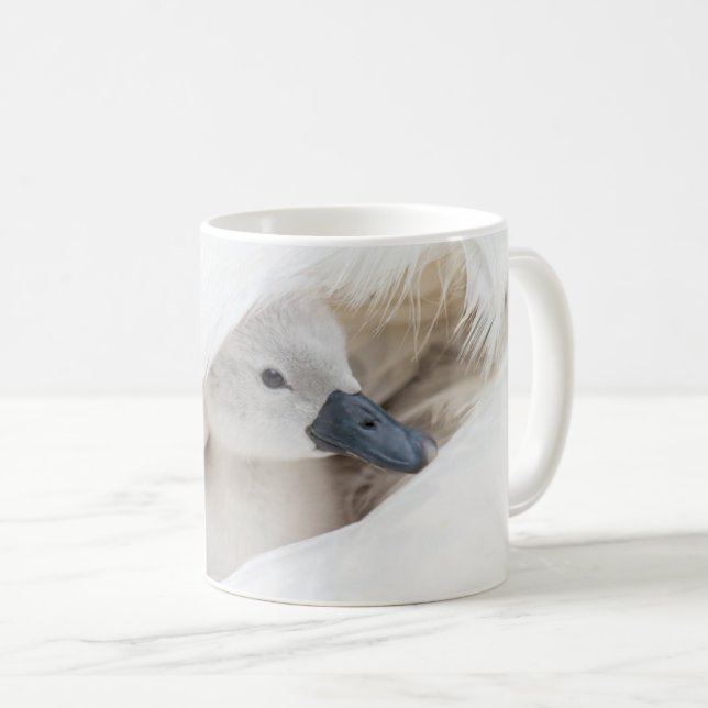 Cutest Baby Animals | Baby Mute Swan Coffee Mug (Front Right)