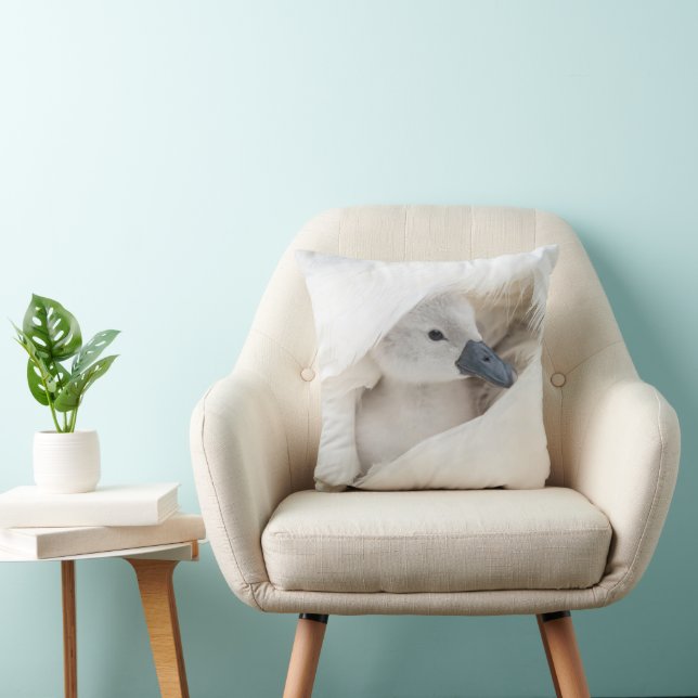 Cutest Baby Animals | Baby Mute Swan Cushion (Chair)