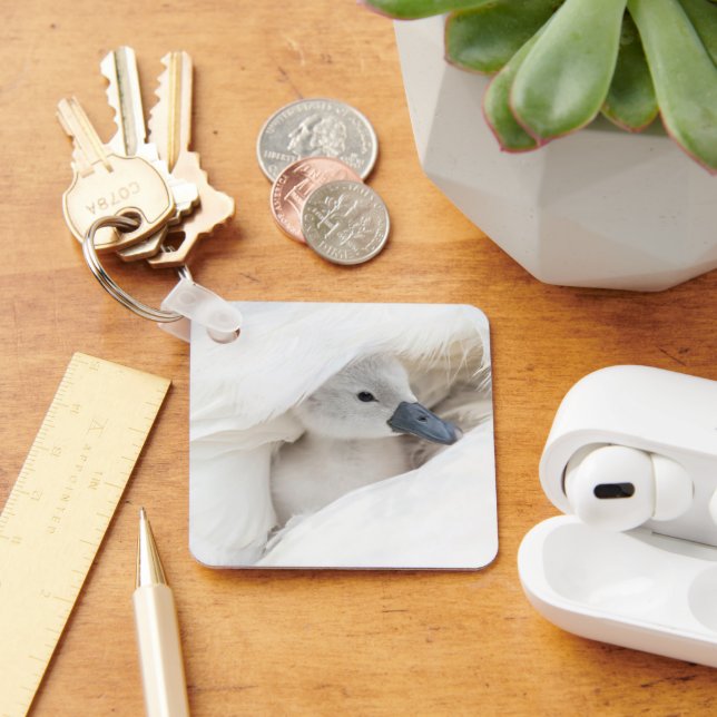 Cutest Baby Animals | Baby Mute Swan Key Ring (Desk)