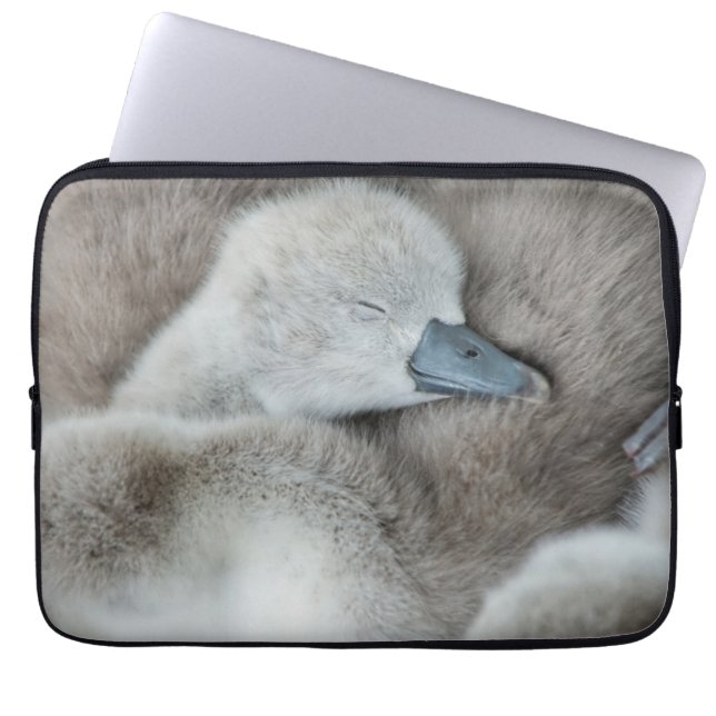 Cutest Baby Animals | Baby Mute Swan Laptop Sleeve (Front)