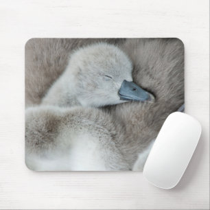 Cutest Baby Animals   Baby Mute Swan Mouse Pad