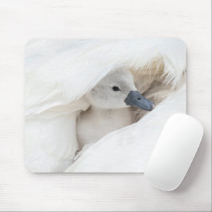 Cutest Baby Animals Baby Mute Swan Mouse Pad