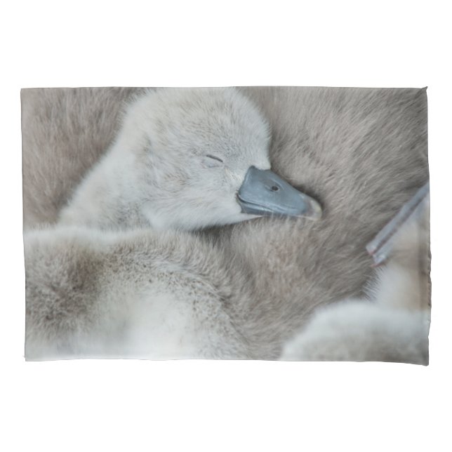 Cutest Baby Animals | Baby Mute Swan Pillowcase (Front)
